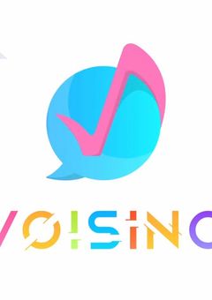 VOISING精神病院