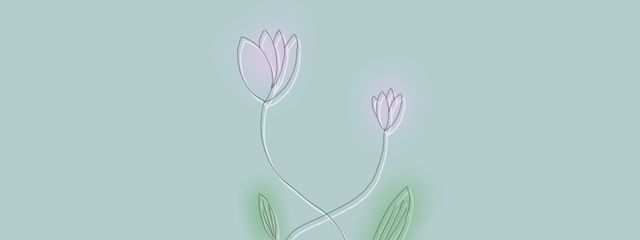 れんさんの壁紙画像