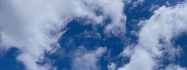 ロウダンさんの壁紙画像