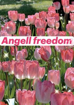 Angel Freedom