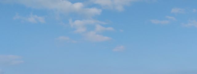 Ayn🦔さんの壁紙画像