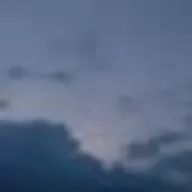 Ayn🦔さんのアイコン画像