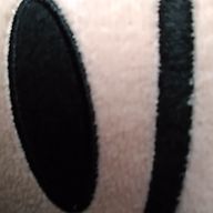 絹さんのアイコン画像