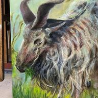 淕さんのアイコン画像