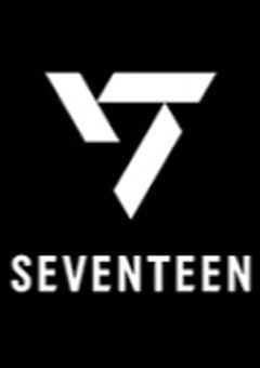 SEVENTEENにハマりました。