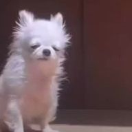 あかりんさんのアイコン画像