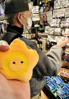 アサヒの妹になりました