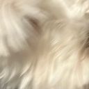 ぬっっっっっっし