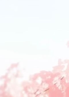 　𝕥𝕒𝕘 🏷️ ~ *