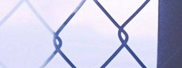 めぅ . さんの壁紙画像