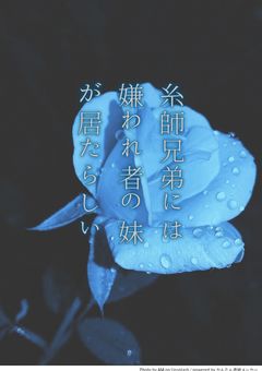 糸師兄弟には嫌われ者の妹が居たらしい