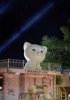溺愛マンネ