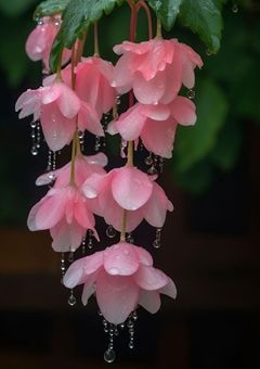 運命の綻び、それは貴方の影の中に