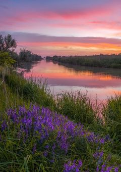 - サイレント・ボイス 〜出会いの鼓動、君との交差点〜
