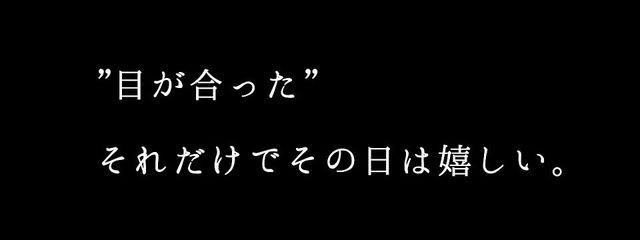 # 日向 。さんの壁紙画像