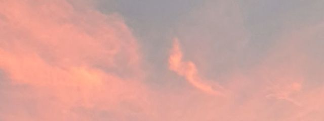 心猫さんの壁紙画像