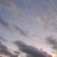 心猫さんのアイコン画像