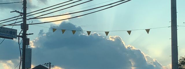 柚マーマレードさんの壁紙画像