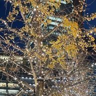 Vvwさんのアイコン画像