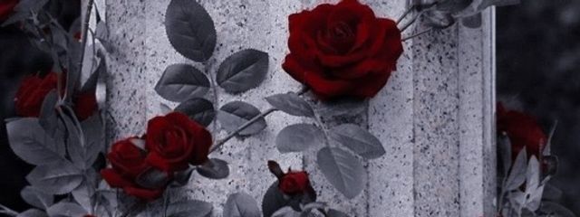 kinaさんの壁紙画像