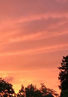 ピーマンときゅうりの美味しい食べ方を模索中