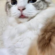 ひぃぃさんのアイコン画像