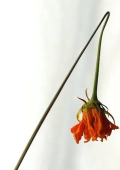 俺たちそういう関係｡
