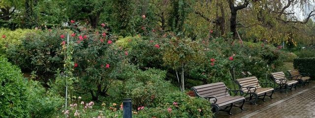 𝐚𝐲𝐚𝐤𝐚さんの壁紙画像