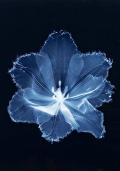 それでも、愛してる