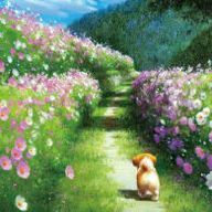 pradeepaさんのアイコン画像