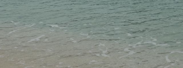 あおさんの壁紙画像