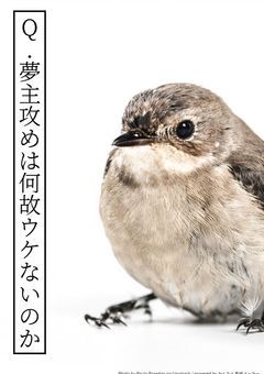 Q.夢主攻めは何故ウケないのか