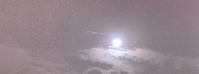 みかん　さんの壁紙画像