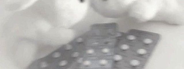 ゆきみさんの壁紙画像