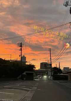 一緒に住んでいる黄色い人、うるさいです【pn】