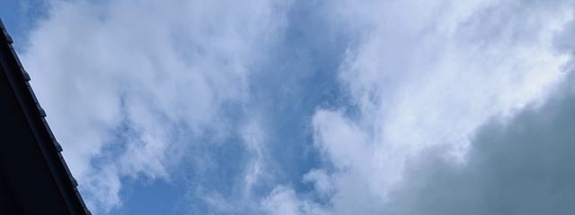 如月　織兎（元　如月紅葉）さんの壁紙画像