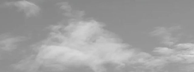 夜珠愛絆　みようくんとペア画中さんの壁紙画像