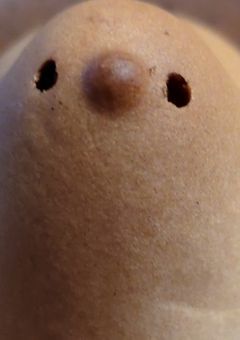 𝐍𝐨𝐧𝐨の実写部屋