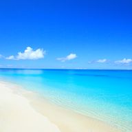 あむぅさんのアイコン画像