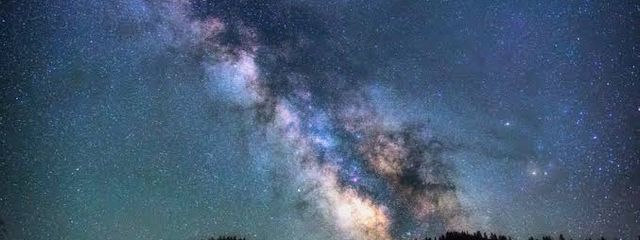 うどんさんの壁紙画像