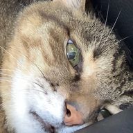 内科🙌さんのアイコン画像