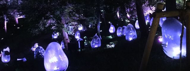 kirari🎩🌟💙さんの壁紙画像