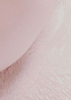 おちびなしゃちょーくん