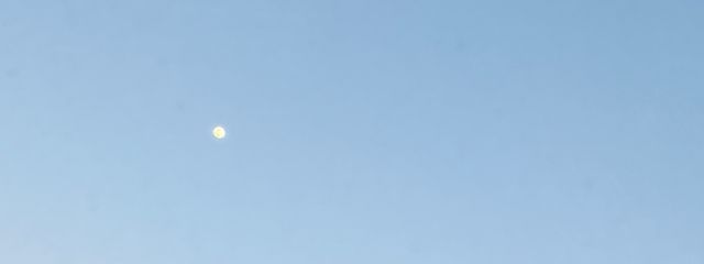 モラトリアムきな子さんの壁紙画像