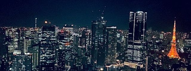 ばにゃさんの壁紙画像