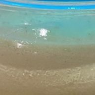 濾さんのアイコン画像