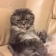 Hinaさんのアイコン画像