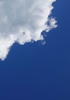 ボカロPに会ったんですけど…性別が分かりません！！！！