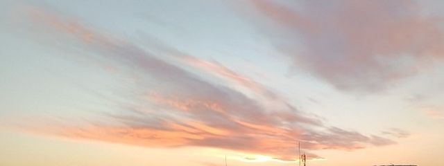 桜になれなかった梅さんの壁紙画像
