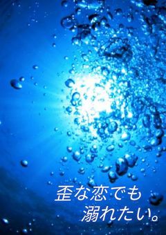 歪な恋でも溺れたい。